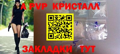 мет Кингисепп
