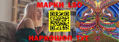 мет Кингисепп
