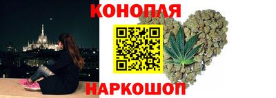 мет Кингисепп