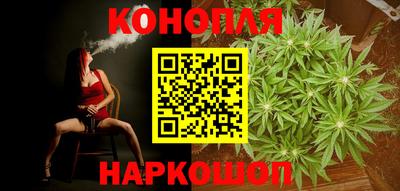 мет Кингисепп