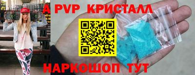 мет Кингисепп
