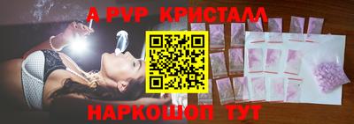 мет Кингисепп