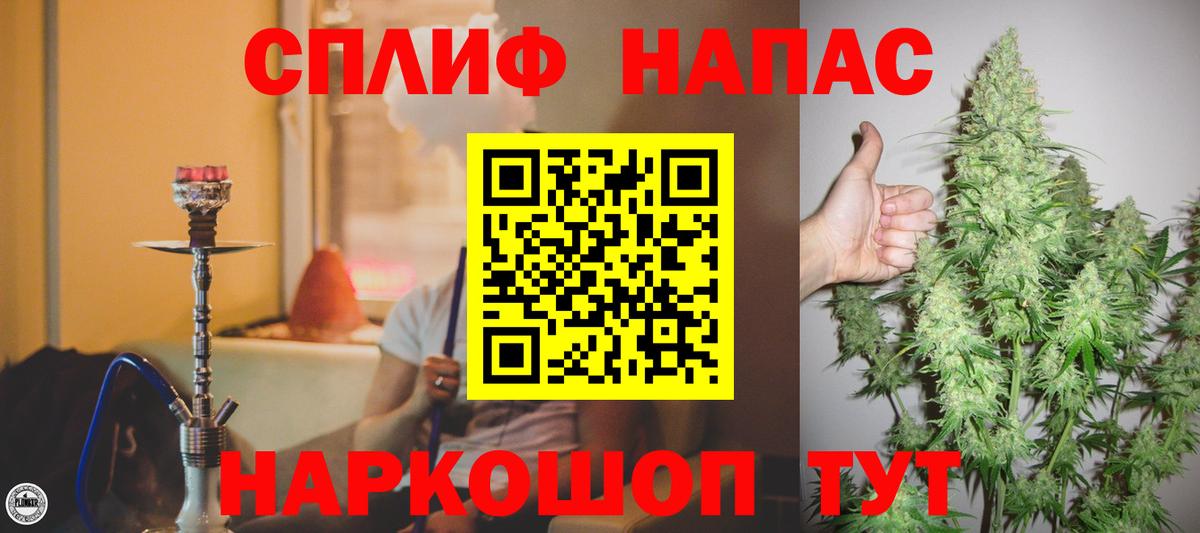 Бошки Шишки планчик Дюртюли